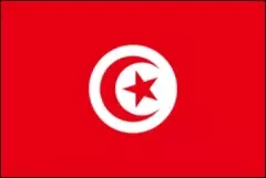 flaga narodowa Tunezji